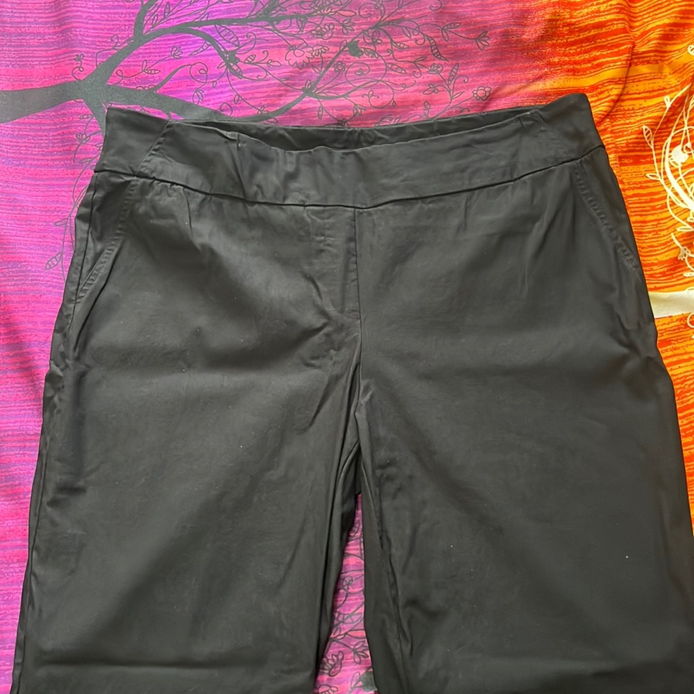Hilary Radley work pants xl